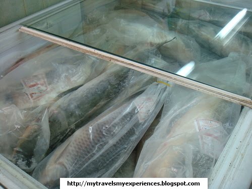 Bangladesh Fish Market