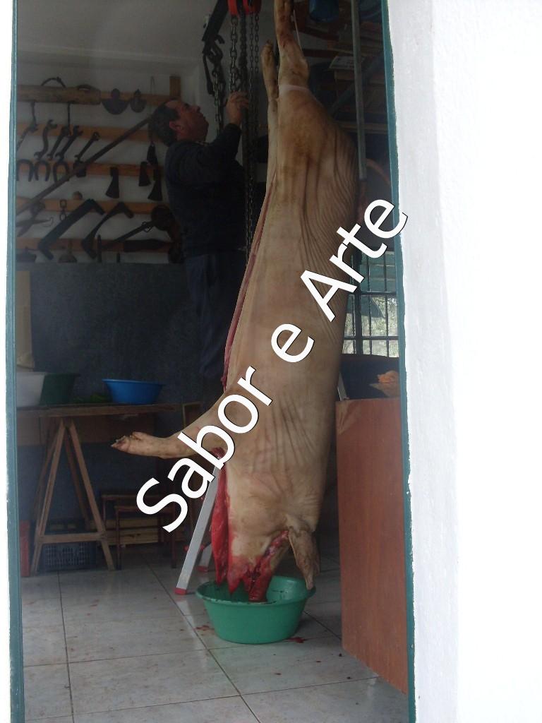 [SDC15141_final.JPG]