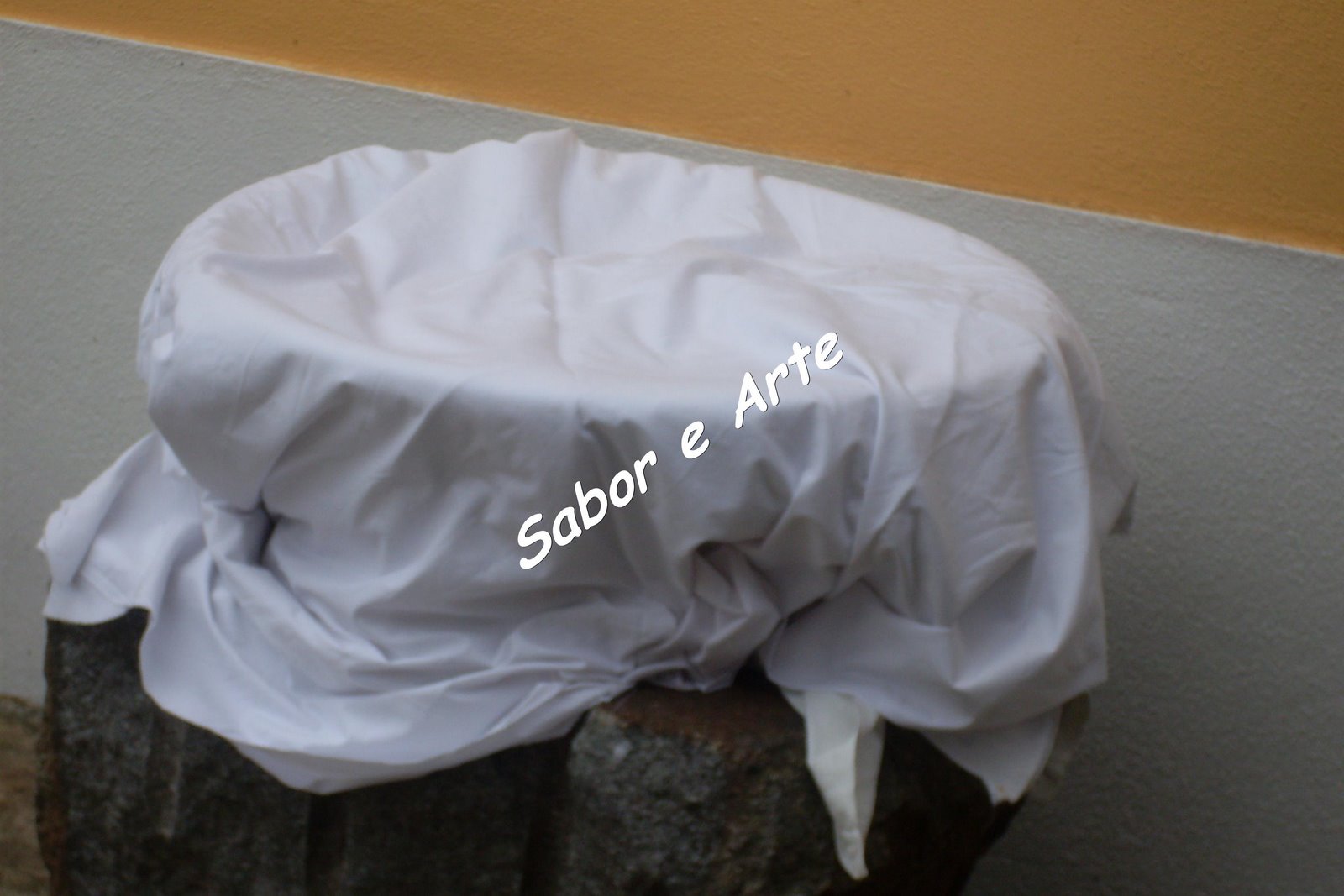 [SDC12287_final.JPG]