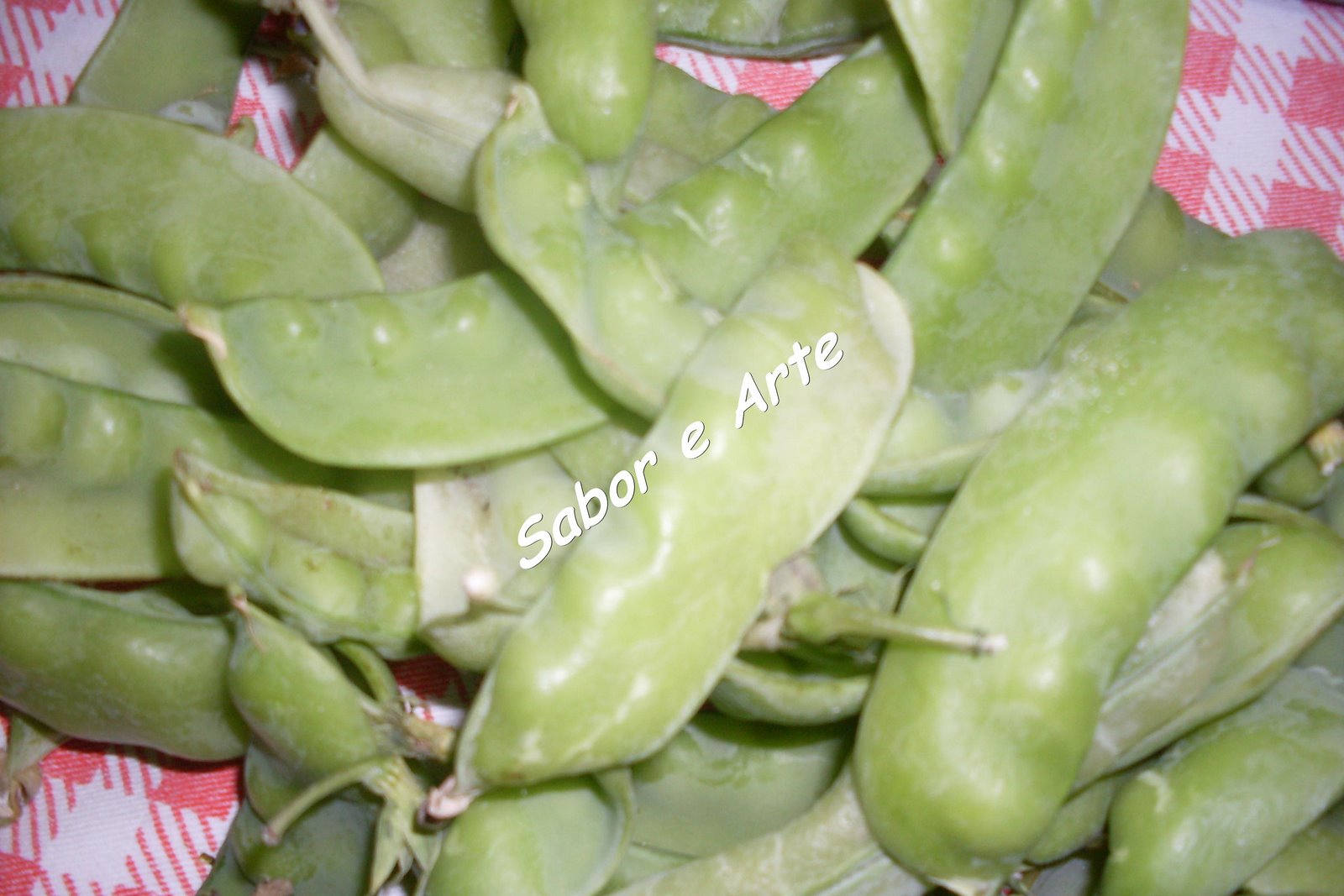 [SDC12247_final.JPG]