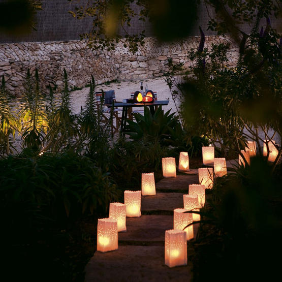 [Tropical+xmas+path.jpg]