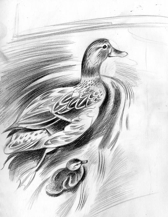 [canard_low.jpg]