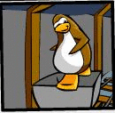 [cartsurferanimationqa7.gif]