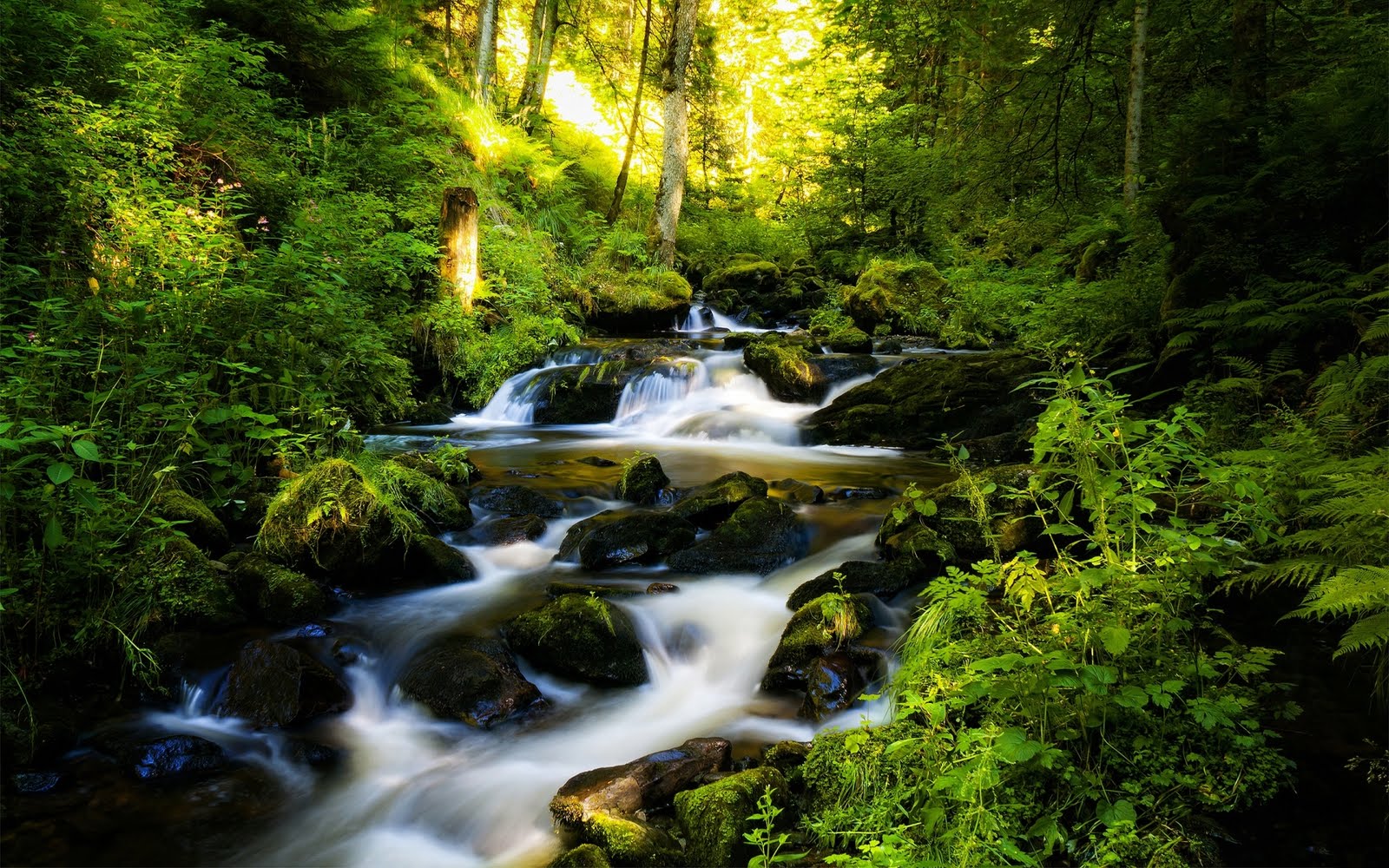 Lugares del mundo y sus paisajes mas bellos Facebook - Imagenes Bonitas De Paisajes Naturales