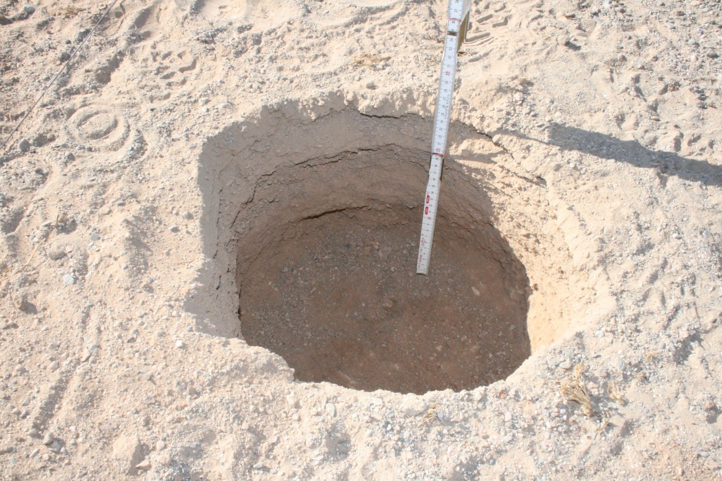 Stephen Bodio's Querencia November 2010