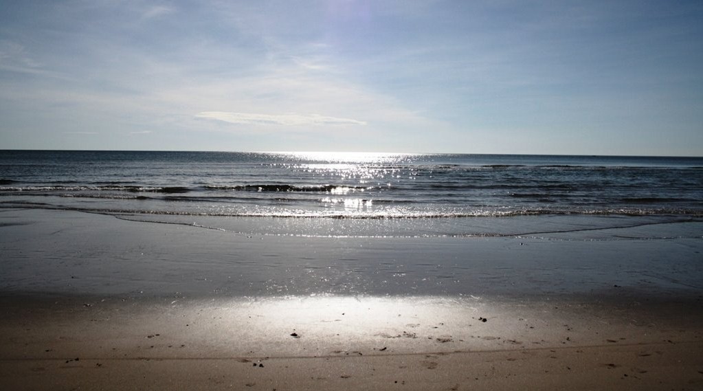 [IMG_1286.JPG]