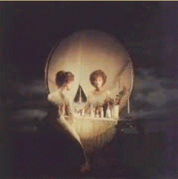 skull optical illusion Gambar   Gambar Ilusi Optik