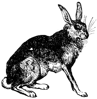 The Mad Hare
