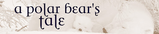 A Polar Bear's Tale