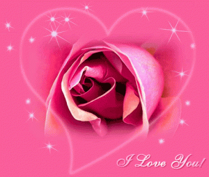 [9_love_pink_rose_heart-300x255.gif]