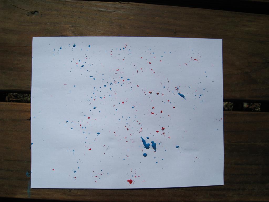 [IMG_4839+(Large).JPG]