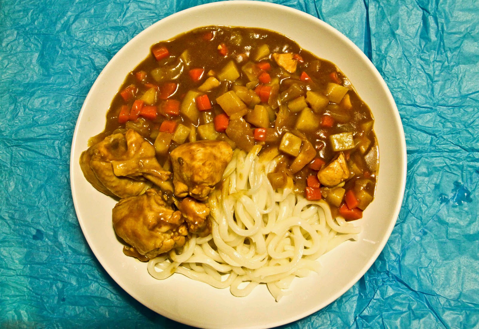 Life is Like a Long Journey Japanese Curry Udon