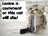 [Cat_will_die.jpg]