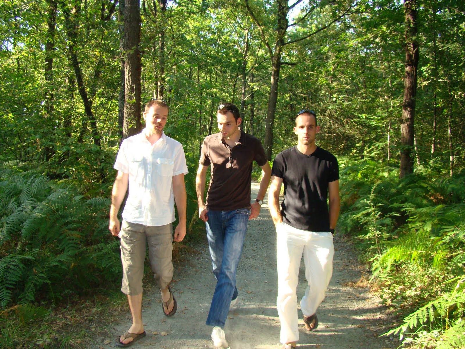 [DSC03973.JPG]