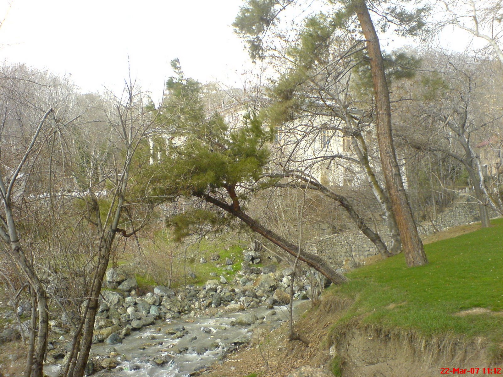 [DSC00309.JPG]