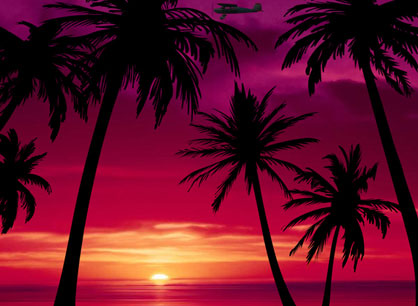 Beach Sunsets With Palm Trees