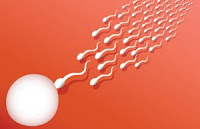 Acupuncture helps polysystic ovary syndrome infertility