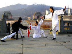 Cursos Kung-Fu Shaolin España, Infantil, Adultos, Azuqueca de Henares, Maestro Senna, Shifu PatyLee