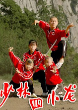 wushu kung fu