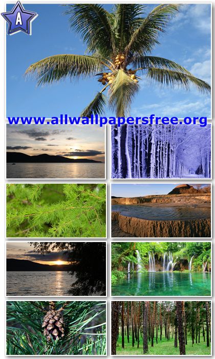 HD Wallpapers 1080p Set 23 wallpapers 1080p. HD Wallpapers 1080p Set 23