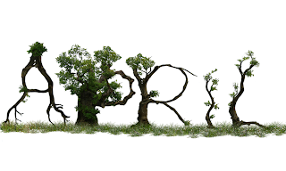 ������ ���� ������ �� ���� ������