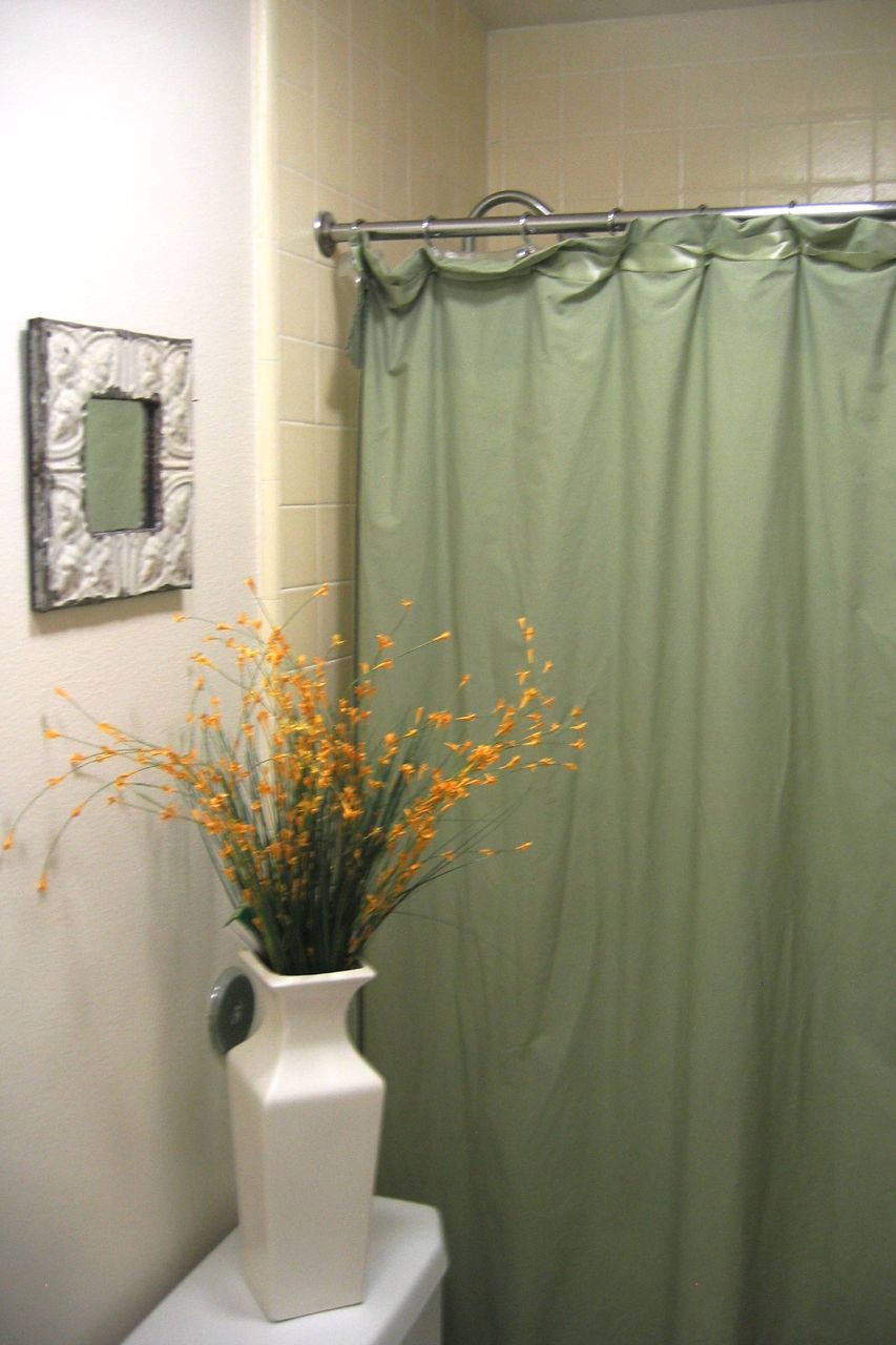[7ShowerCurtain.jpg]