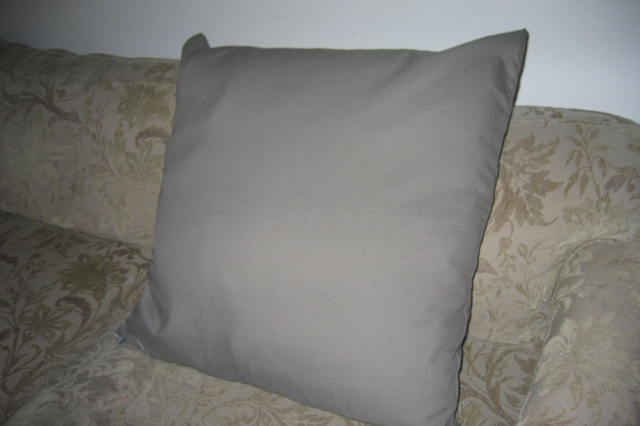 [6Pillow.jpg]