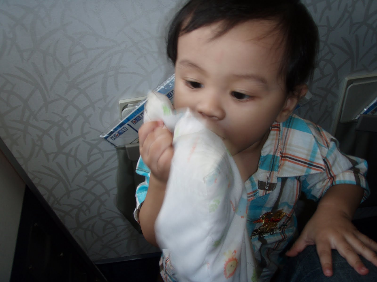 [P1010361.JPG]