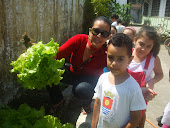 "Quem planta colhe." (Provérbio Popular)