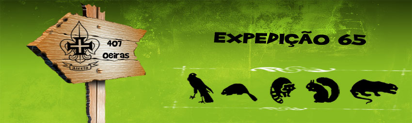 Blog Expedição 65