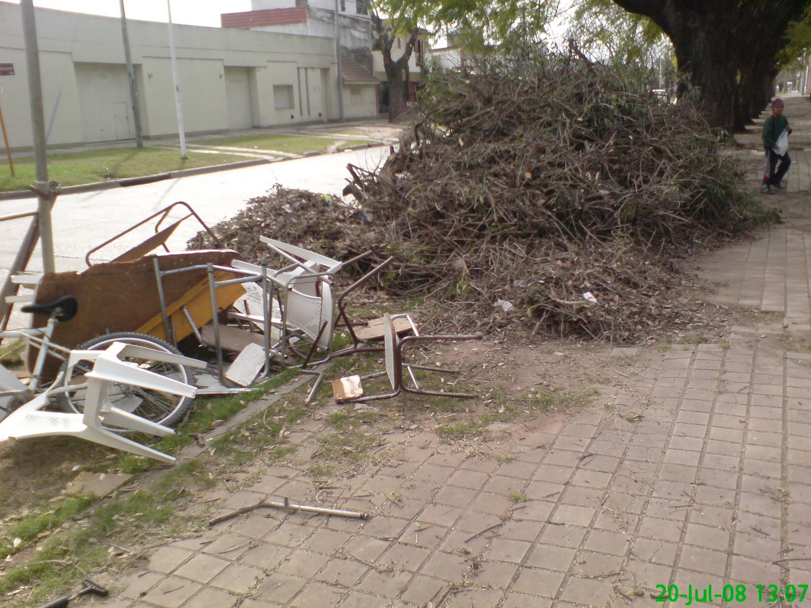 [DSC00934+-+Poda.JPG]