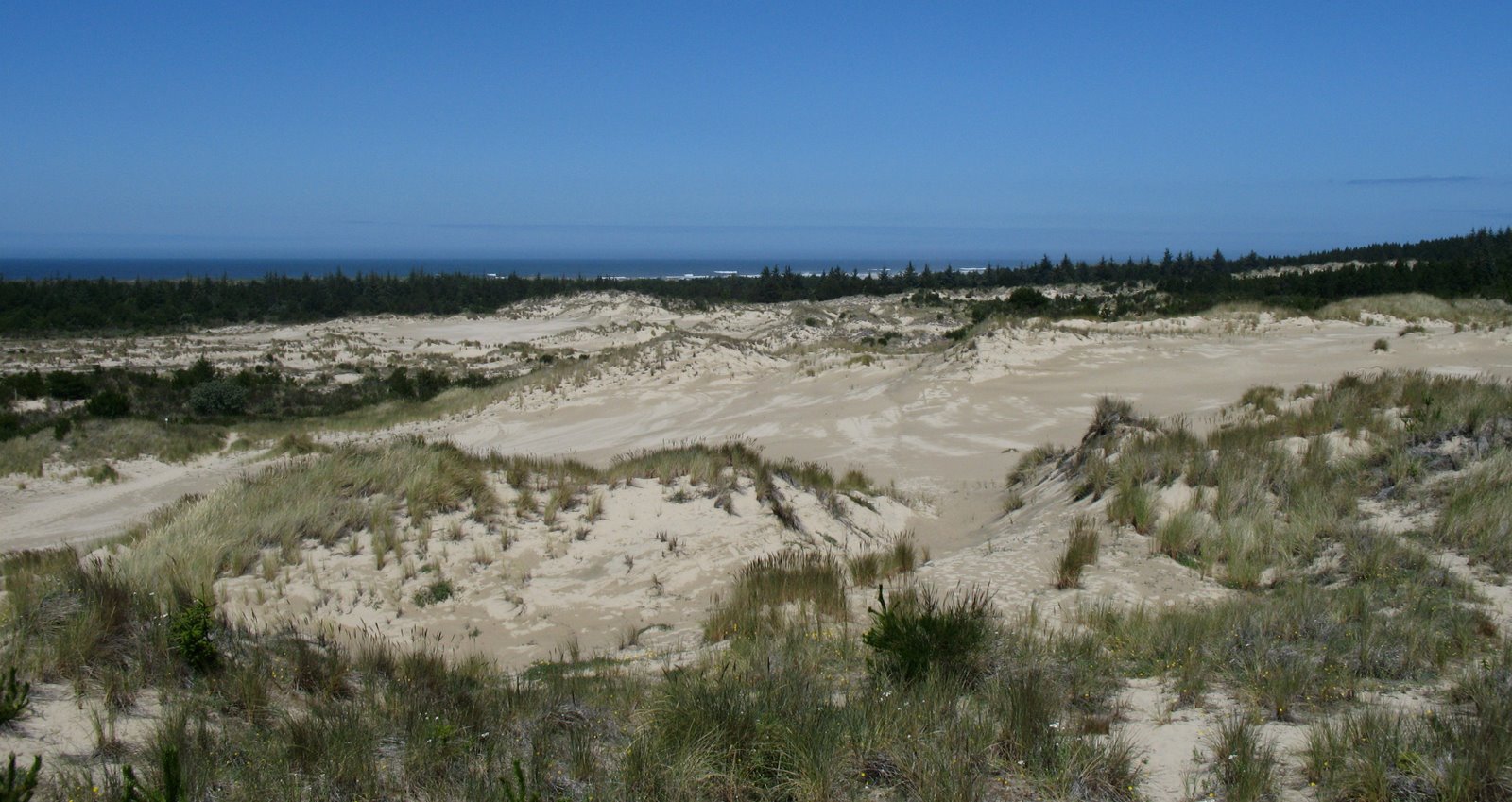 [Carter+dunes+panorma.JPG]