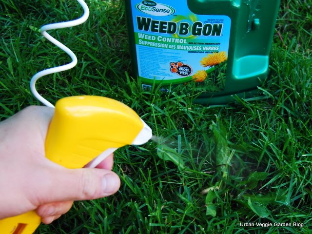 weed b gone