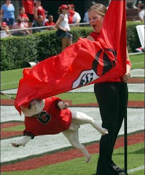 UGA VI