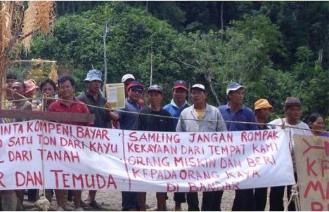 Bantahan Terhadap Pembalakan