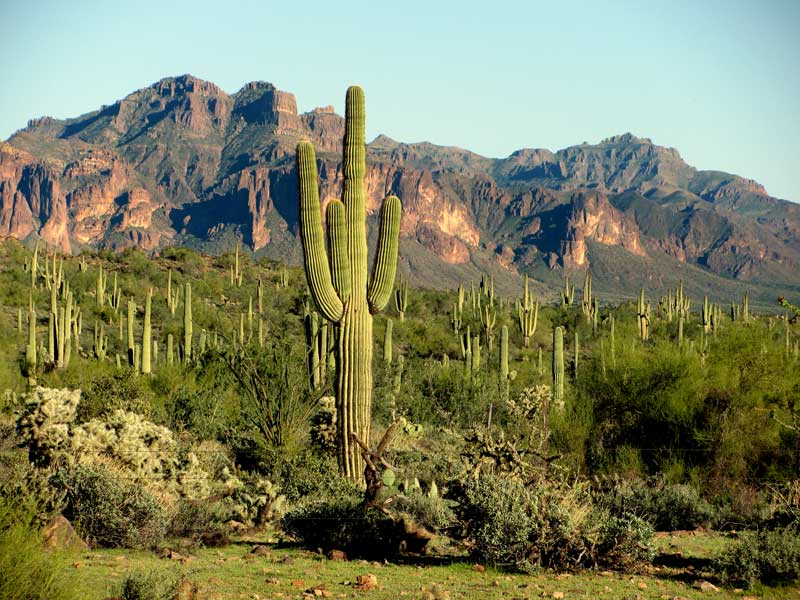 [2009-02-25-Jeff-&-021blg.jpg]