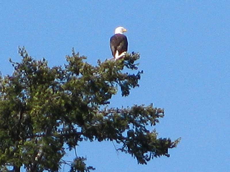 [Mt-St-Helens-011_blg.jpg]