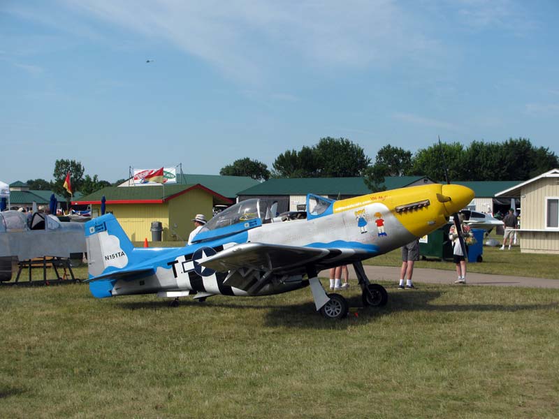 [Multicolor-P-51-3-blg.jpg]