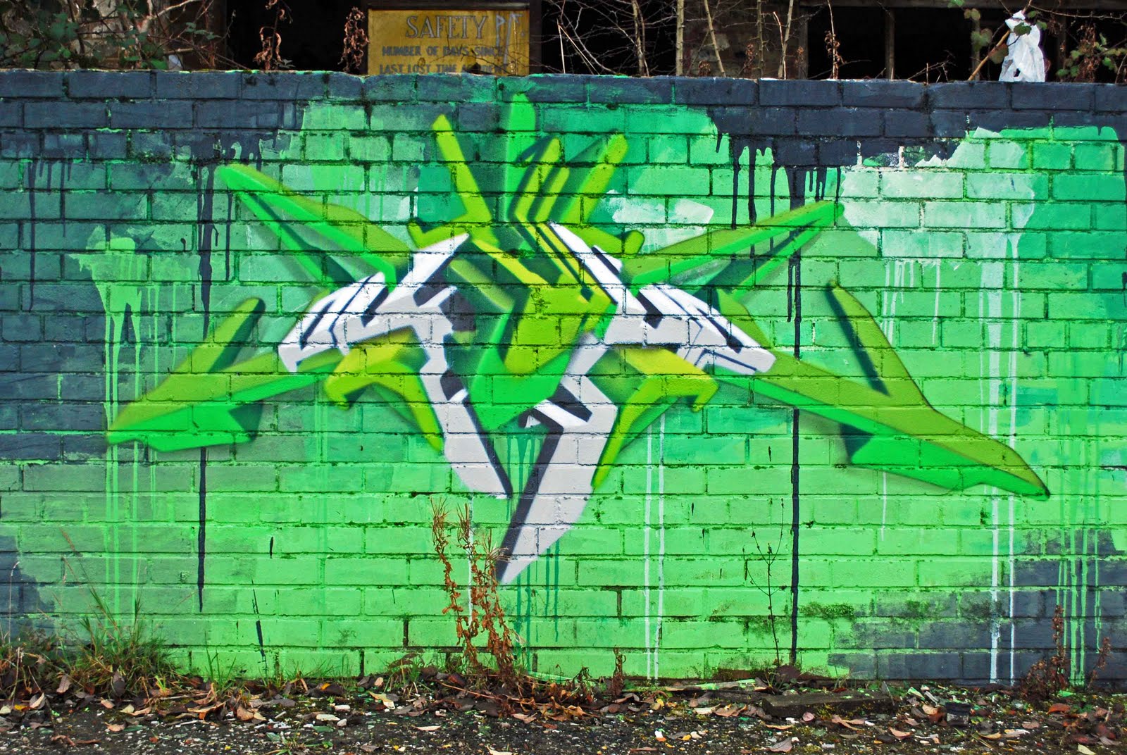 [Huncoat+outside+wall+-+Pryme+2nd+-+13.11.2009.JPG]