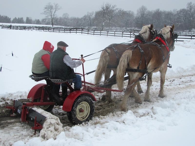 Gurney Journey Snow Plowing with Draft Horses