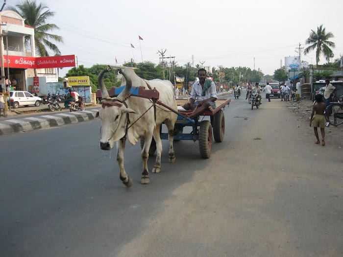 On the streets of Chennai