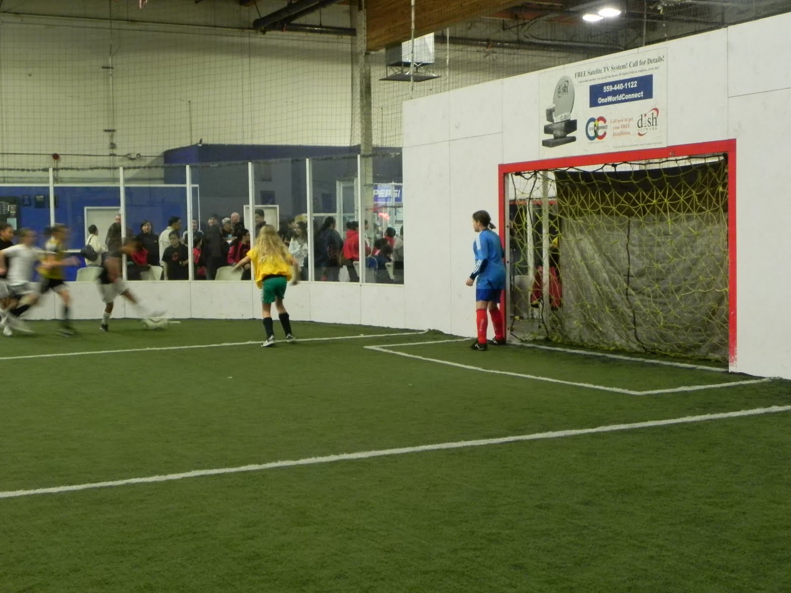 Looking Forward and Back Fresno Indoor Frogs