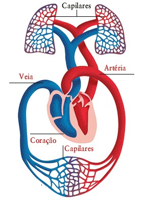 O Que E Grande Circulacao