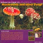 Interactive Guide to Mushrooms and other Fungi