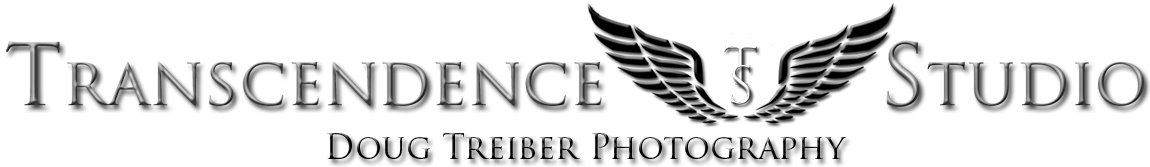 Transcendence Studio
