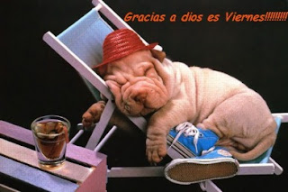 http://3.bp.blogspot.com/_ElAVCS-v8Sc/R5oO6nt00fI/AAAAAAAAA88/spzq8b759Do/s320/viernes4.jpg