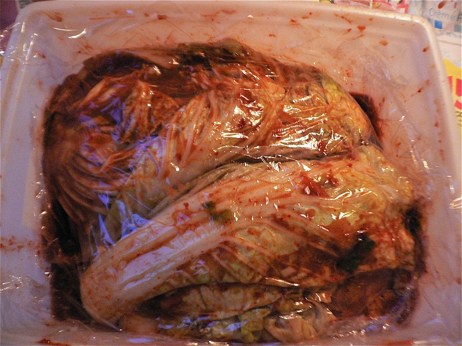 Ayaのヘミシンク日記 In Stockholm スウェーデンでキムチを作る