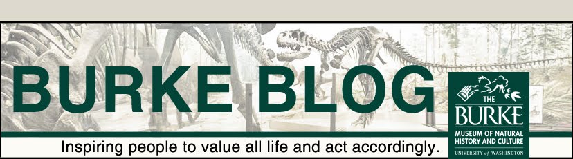 Burke Blog