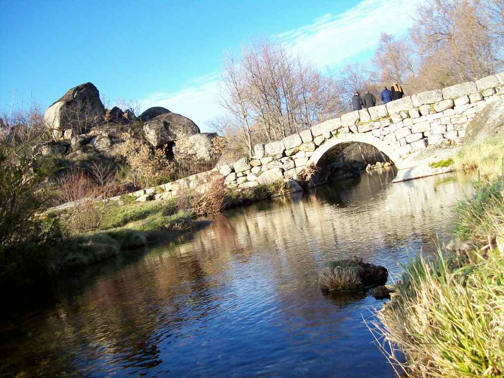 [100_0011.JPG]