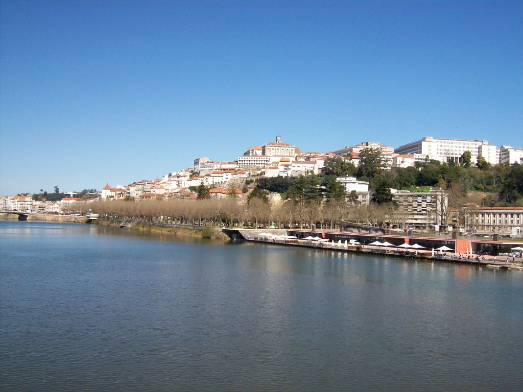[100_0139.JPG]